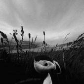 Time To Burn : Is.Land